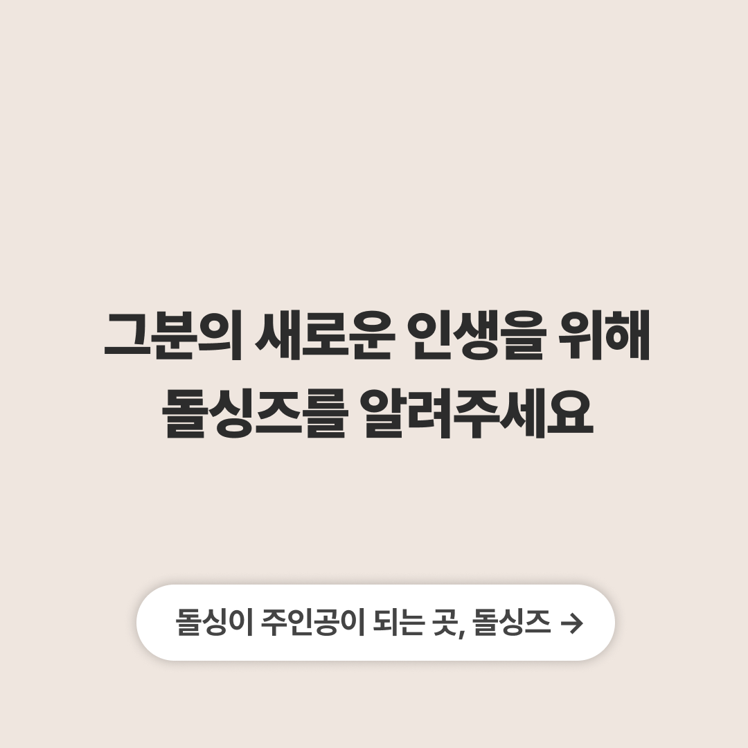 돌싱즈 광고 2128123161115747 실제 소재