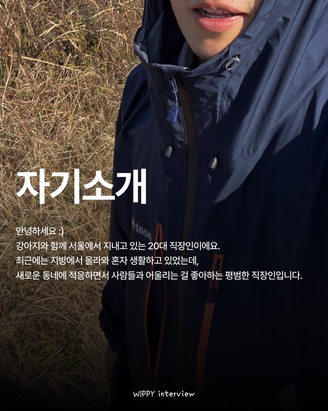 위피 광고 1024932520173797 카드 2