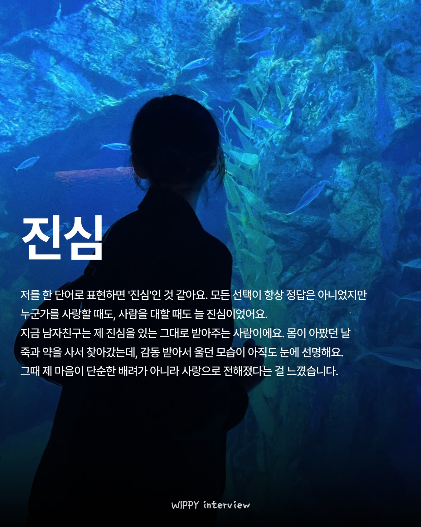 위피 광고 2145846303031230 카드 6